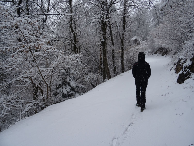 breve passeggiata tra la neve fresca di oggi.....